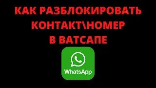 Как разблокировать контакт (номер) в ватсапе