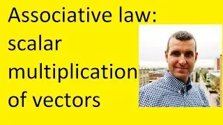 Scalar multiplication of vectors: Associative law