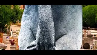 #Проституция