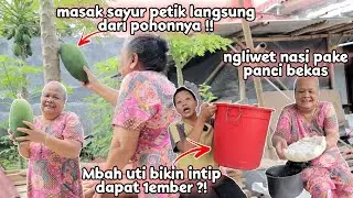 Cara mudah bikin intip ala Mbah uti‼️masak sayur petik langsung dari pohonnya