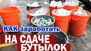США Собираем бутылки и банки и сдаем их / Сколько можно заработать на сдаче бутылок в Америке