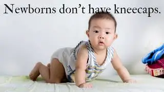 Random Facts that will surprise you | Unique Videos
