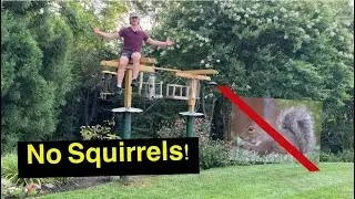 How to Squirrel-proof Your Bird Feeder! - Complete guide to deterring squirrels