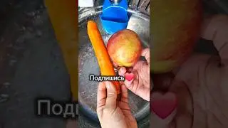 6 февраля 2024 г.
