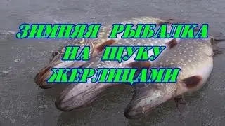 Зимняя рыбалка на щуку жерлицами.