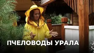 Медовый рай на Урале: как уральская пасека превращает пчеловодство в экобизнес