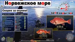 Трофей Золотой Окунь! • Попал в рекорды! • Норвежское Море • Русская Рыбалка 4