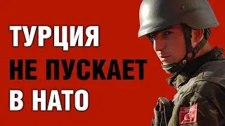 Почему Турция не пускает в НАТО?