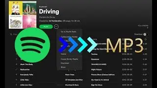 How to Export Spotify Playlists to MP3