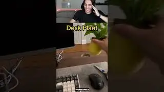 Best Way To Improve Your Desk