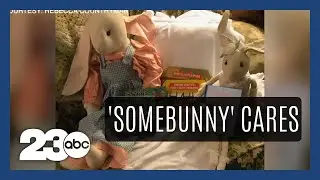 The Bunny Love Project: Bringing Comfort to Children in Hospitals