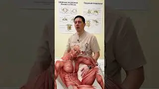 Движение — залог здоровья и долголетия! 