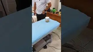Пчелоужаление в правке живота. Апитерапия. Апитокситерапия
