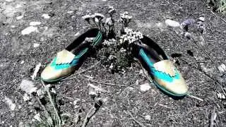 Steam Powered Giraffe - Fancy Shoes