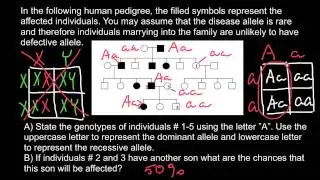 How to solve pedigree problems
