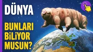 Gezegenimiz hakkında merak ettiğin 50 ilginç bilgi | İlginç bilgiler | Aklında olsun