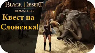 ГДЕ И КАК ВЗЯТЬ ЕЗДОВОГО СЛОНА! новичок в 2021 |Black Desert Remastered #23