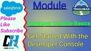 Get Started with the Developer Console | Developer Console Basics | Trailhead Quiz | Salesforce