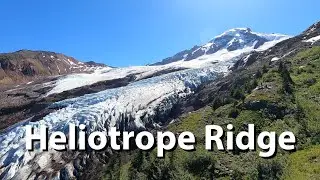 Hiking Heliotrope Ridge - Incredible Glacier Hike