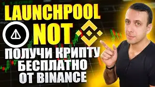 Получаем токены Notcoin (NOT) бесплатно. Новый лаунчпул на Binance