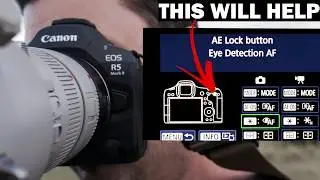 Canon R5 II Settings For Wildlife Photography