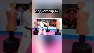 С одного удара наповал / Киокушин Каратэ, полную версию видео смотрите на канале  #каратэ #киокушин