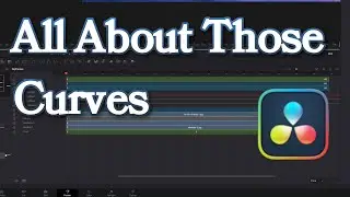 Introduction to Animations and Curves in DaVinci Resolve