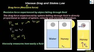 Viscous Drag and Stokes Law