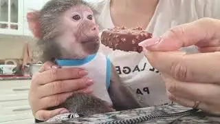 Очень вкусное мороженное ! Никуше понравилось🤗