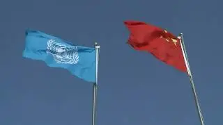 Китайской инициативе глобальной цивилизации исполнился год