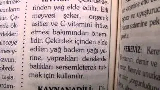 Kayısının faydası