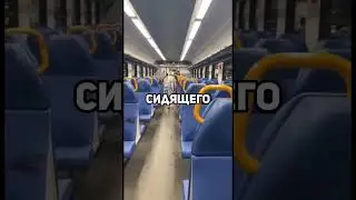 В Новосибирской области табор из 30 цыган устроил поножовщину в вагоне электрички #топор#новости