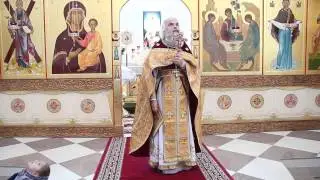 Протоиерей Иоанн Монаршек - Проповедь в день Илии пророка