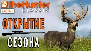 theHunter Classic #1 СТРИМ 🐶 - Открытие Охотничьего Сезона - Первая Охота