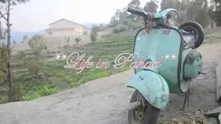 The Life in Mountains
