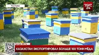 КАЗАХСТАН ЭКСПОРТИРОВАЛ БОЛЬШЕ 100 ТОНН МЁДА