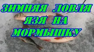 Зимняя ловля язя на мормышку.