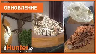 Обновление в theHunter: Classic - Черепа, Трофейные комнаты, интерфейс магазина