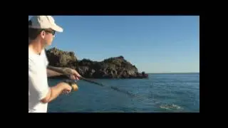 How to work a popper lure for Giant Trevally!!