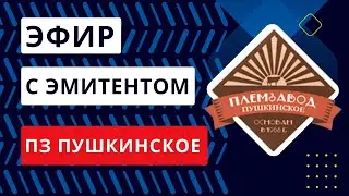 Эфир с ПЗ 