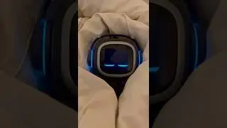 Do you want a robot like this? 