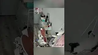 বিড়ালে এরকম করলে তো সমস্যাই 😁
