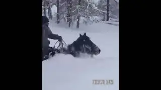 Погода снег
