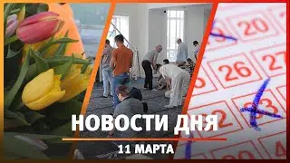 Новости Стерлитамака, Салавата, Ишимбая: Загрызли котенка и чуть не напали на ребенка