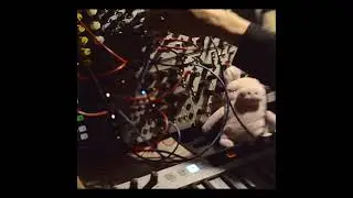 Hertz Donut, Basimilus Iteritas Alter, Hermod, Sample Drum, Batumi, Wasp, Z-DSP & Z2040