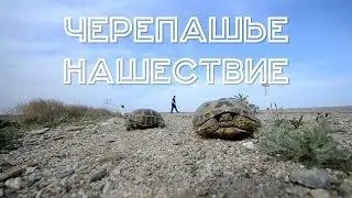 Узбекистан #3. Озеро Айдаркуль. Юрты
