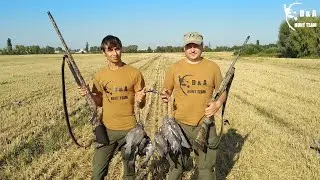 Шикарное открытие охоты по перу 2020. Охота на голубя. Open hunt season. Pigeon hunting.