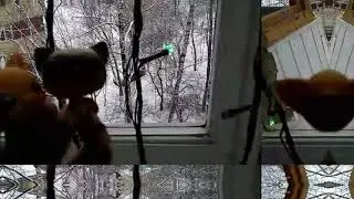 Lps mv~малолетняя любовь❤️