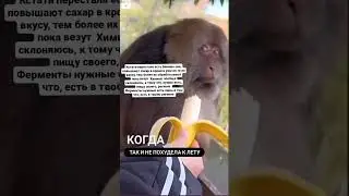 не ешь бананы!