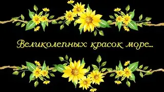 🌹🌷❀ Великолепных красок море 🌹🌷❀ Цветочные переходы 🌹🌷❀